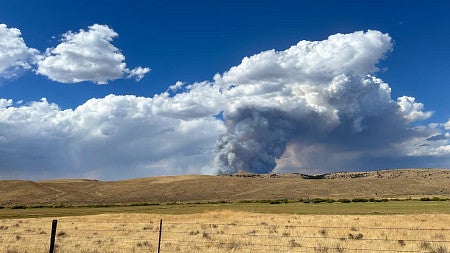 a desert environment with clear blue skies