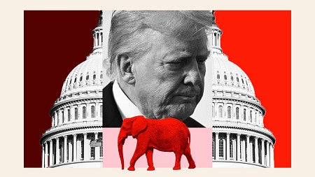 an illustration of donald trump with the US capitol behind him and an elephant in front