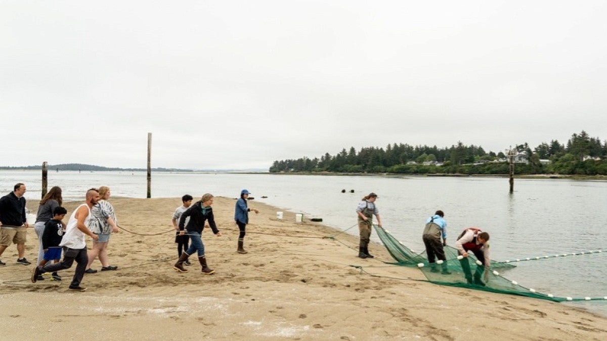 A group of people on the beach hauling in a large net