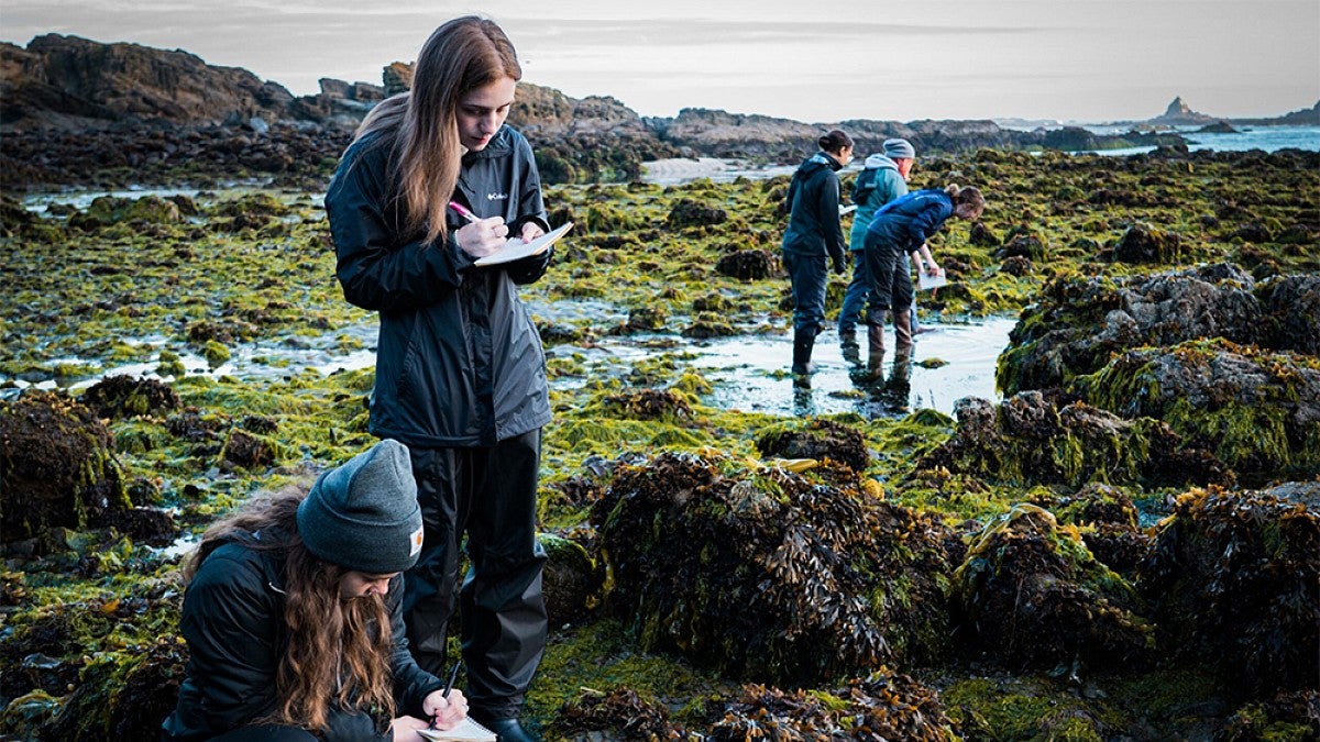 Marine biology students conducting research on Oregon coast line