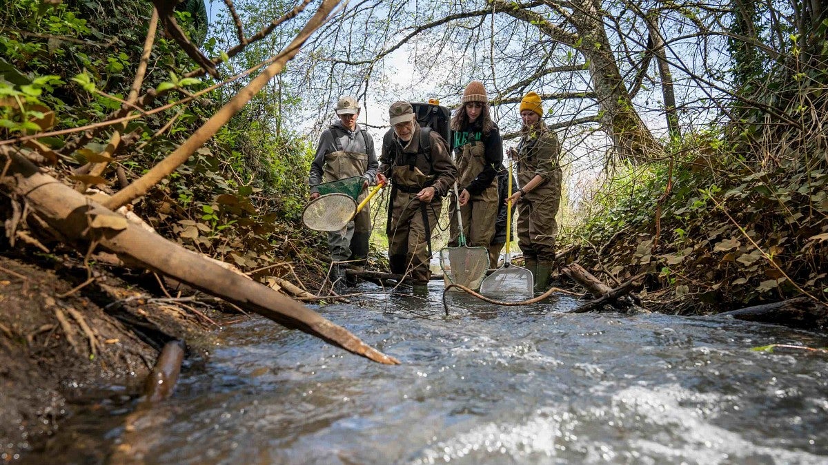 students in a river with nets