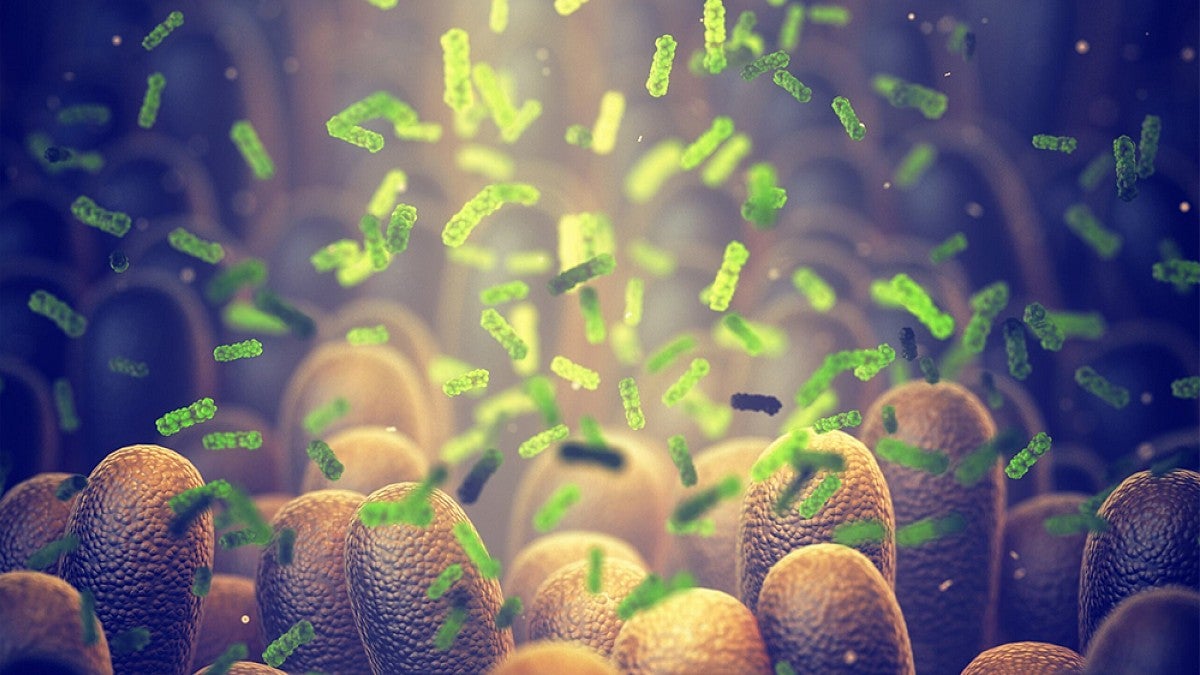 A stylized representation of a gut lining and microbes