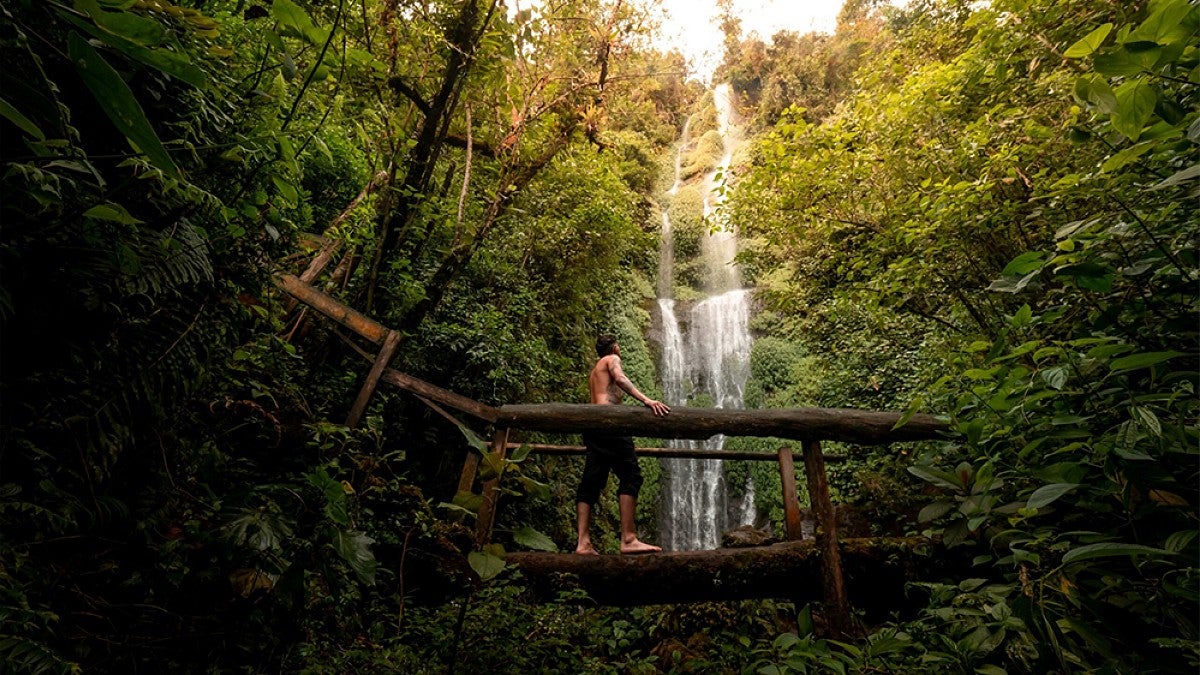 A person walking across a wooden bridge in the jungle