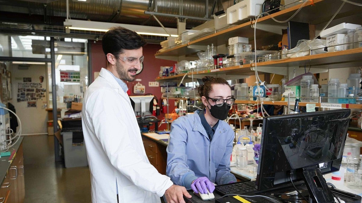 Chemistry and Biochemistry professor, Paul Kemper, and student in the lab