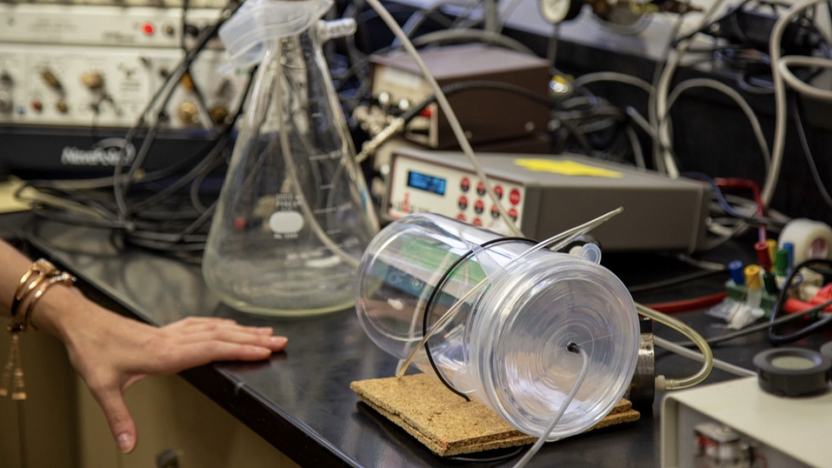 testing equipment in the human physiology lab