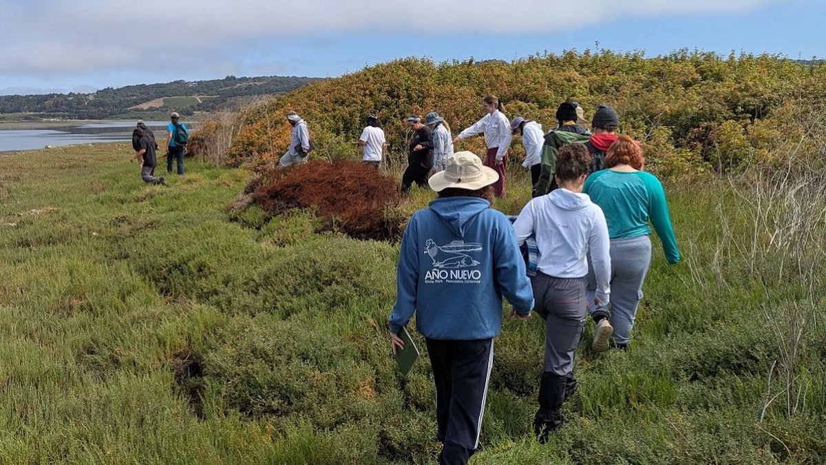 Students blend archaeology, ecology and tribal sovereignty in field school on central California coast.