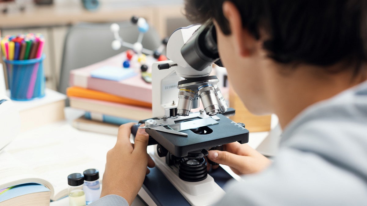 a person looks through a microscope in a lab