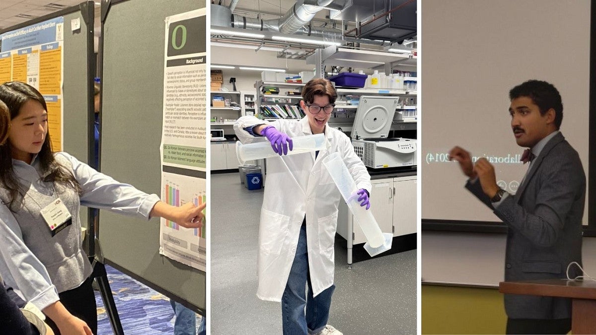 gallery of three photos of people