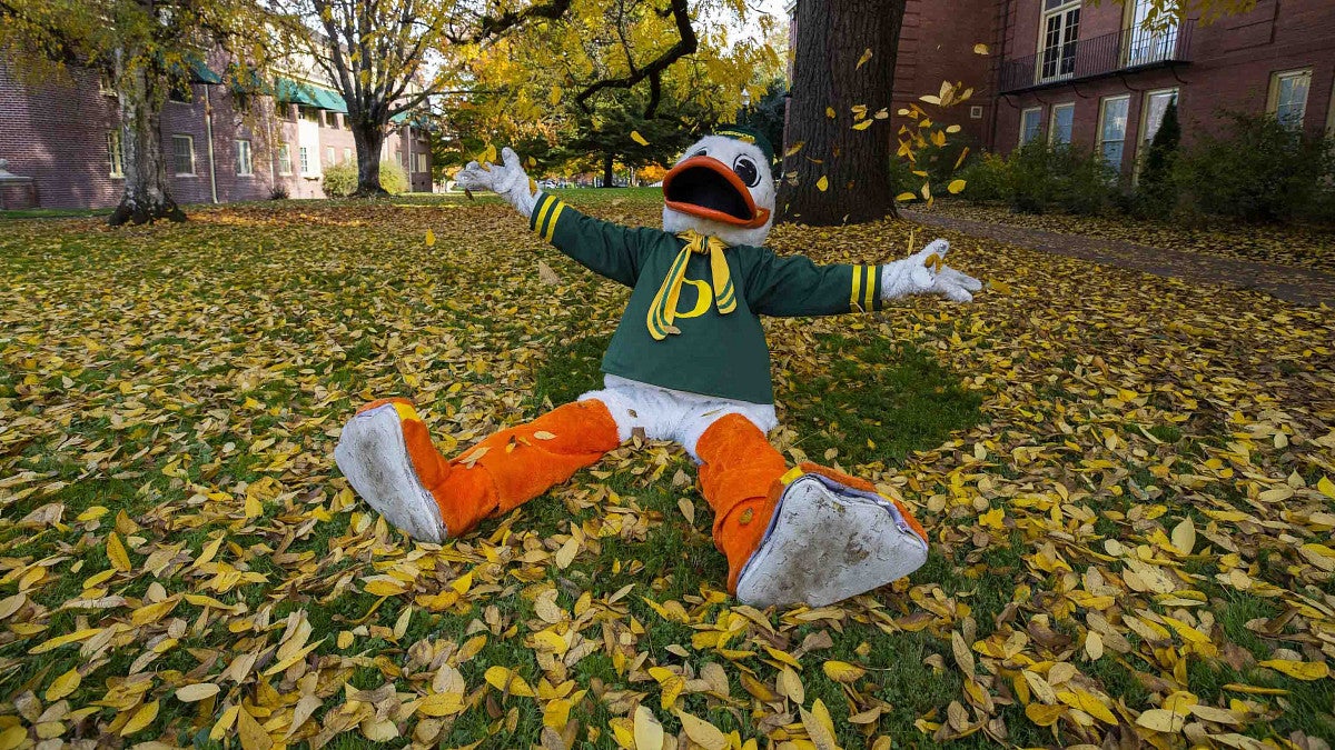 the Oregon duck on a ground full of leaves