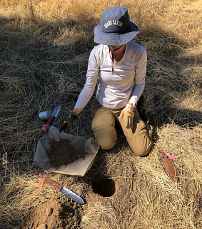 Fieldwork for climate change