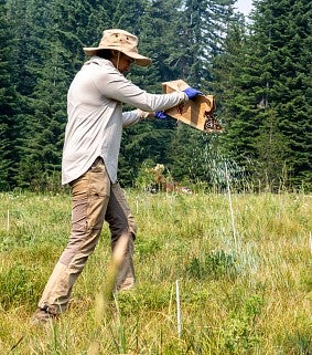 A student spreads fertilizer on a grassy field