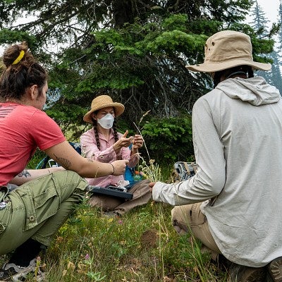 Faculty and student researchers sit in circle a field discussing biodiversity