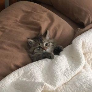 Portrait of Khanh Tran Nguyen