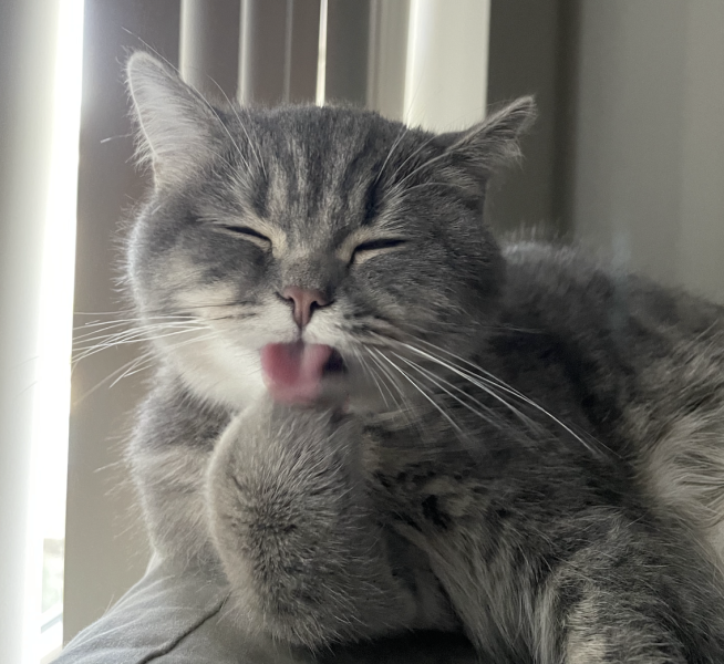 Profile picture of Yixuan Wang