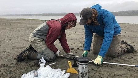 researchers measure something in the sand